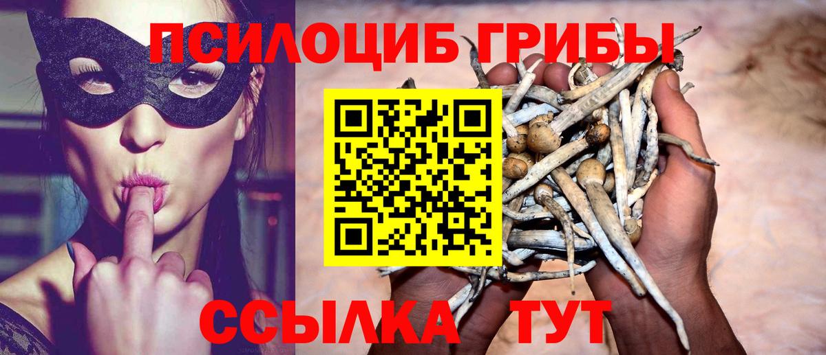 Псилоцибиновые грибы MAGIC MUSHROOMS Сердобск